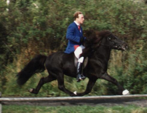 Hlynur fra Søtofte ved Glaður's afkomskåring i 1987, redet af Einar Öder Magnusson.