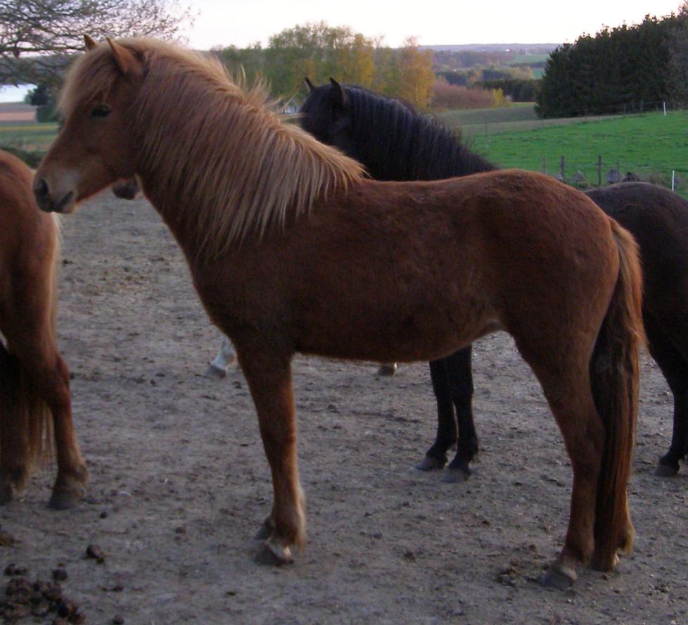 Bylgja 2 år gammel