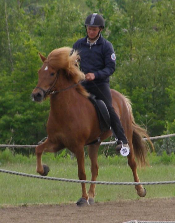 Mist ved kåringen på Hedeland i juni 2006, redet af Rasmus Møller Jensen.