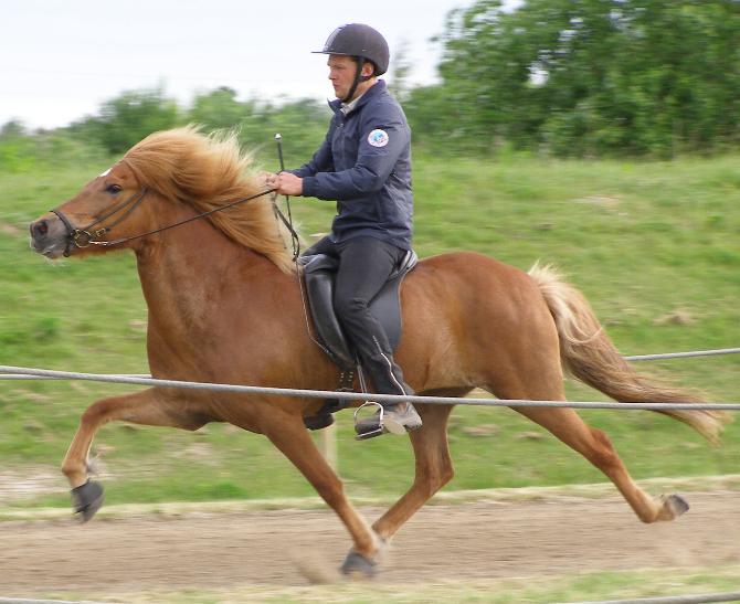 Mist ved kåringen på Hedeland i juni 2006, redet af Rasmus Møller Jensen.