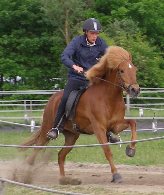 Mist ved kåringen på Hedeland i juni 2006, redet af Rasmus Møller Jensen.