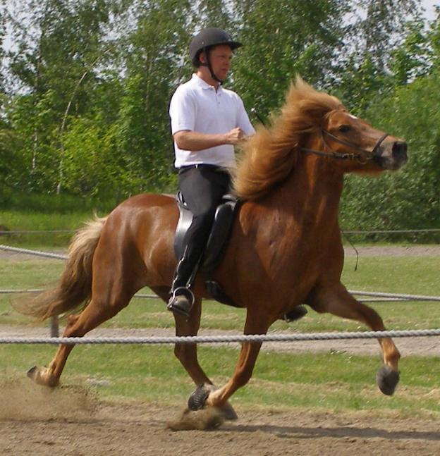 Mist ved kåringen på Hedeland i juni 2006, redet af Rasmus Møller Jensen.