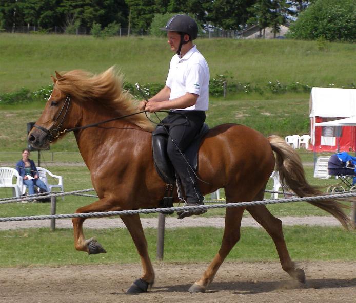 Mist ved kåringen på Hedeland i juni 2006, redet af Rasmus Møller Jensen.