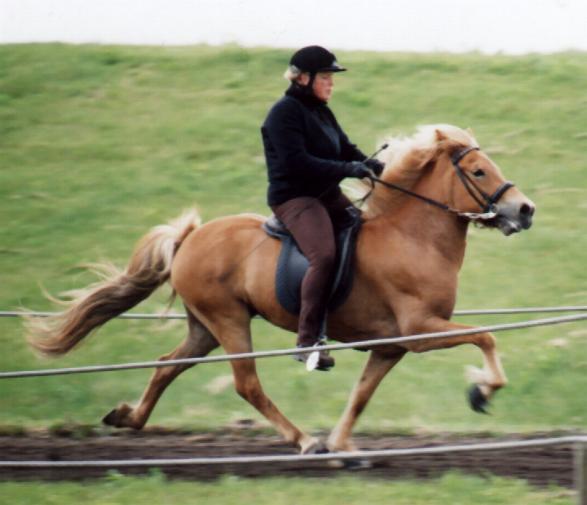 Randaln ved kringen i Hedeland. Rytter: Jette Gram