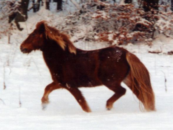 Von fra Arnakke efter Strakur og Víma.