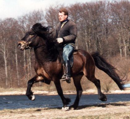 Fannar, 5 år gammel redet af Johann Skulason