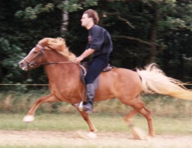 Dögg ved DM i 1988 i trav - håber at man kan fornemme farten.... for der var drøn på!