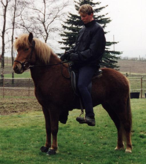 Embla fra Søtofte, 5 år gammel