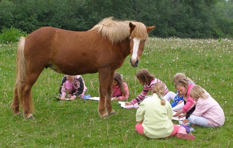 De sidste billeder af Dgg, der blev taget for en mneds tid siden, da Magnus skoleklasse var p besg og bl.a. skulle tegne en hest.