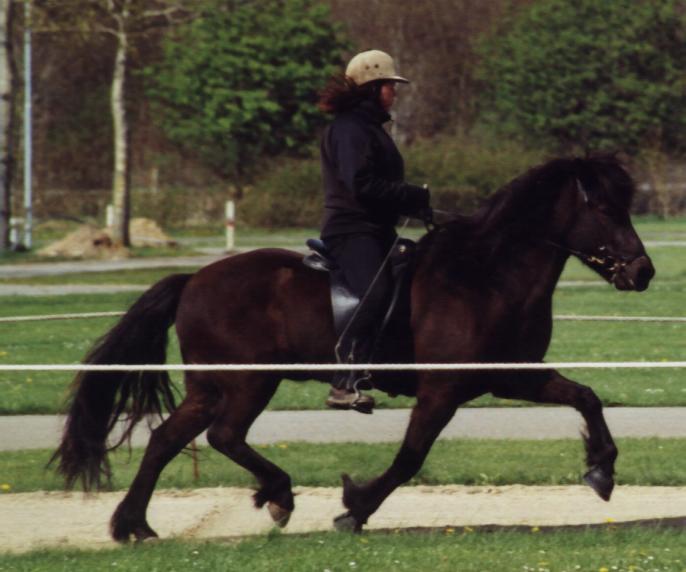 Krafla i Herning, maj 2005, redet af Bylgja Gauksdóttir