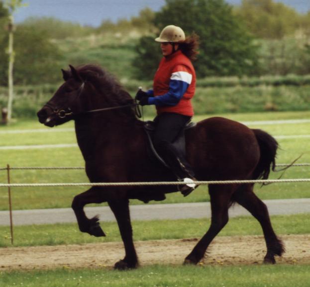 Krafla i Herning, maj 2005, redet af Bylgja Gauksdóttir