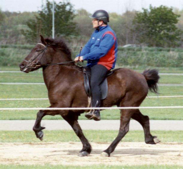 Krafla i Herning, maj 2005, redet af Styrmir Snorrason