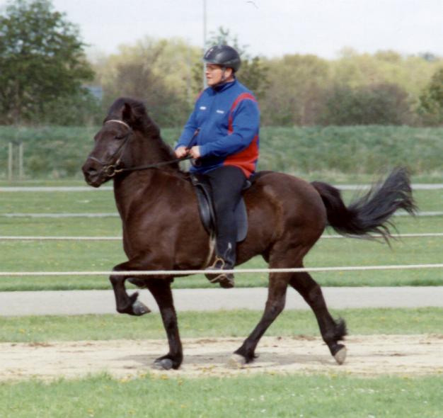 Krafla i Herning, maj 2005, redet af Styrmir Snorrason