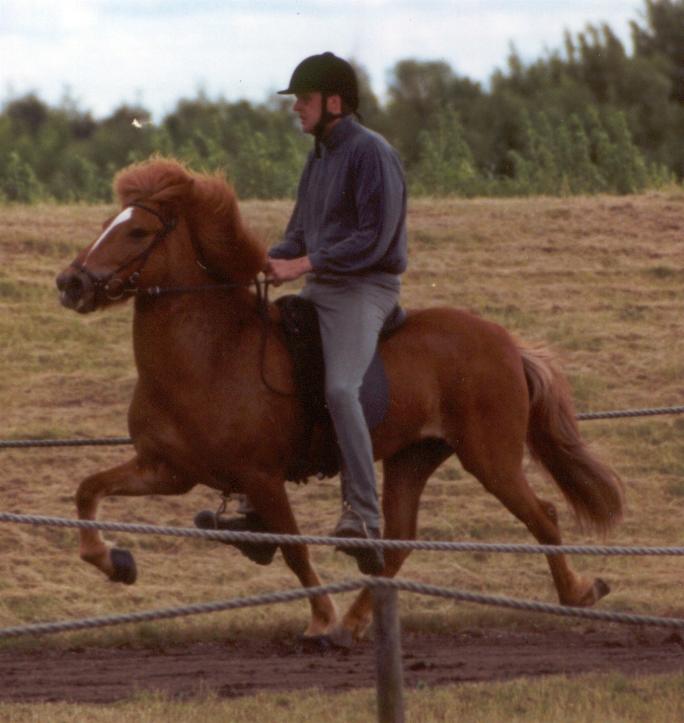 Von ved sin kåring i 2004 redet af Jón Már Guðmundsson 