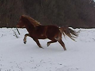 Mmir fra Tornbjerg, 4 r